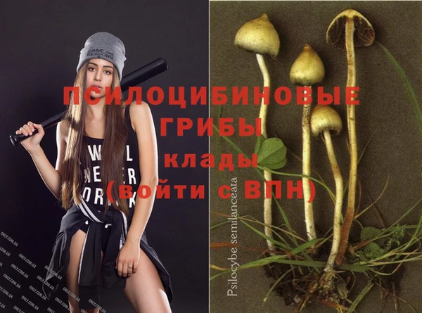 PSILOCYBIN Абинск